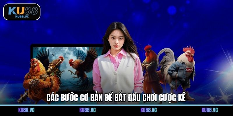 Các bước cơ bản để bắt đầu chơi cược kê