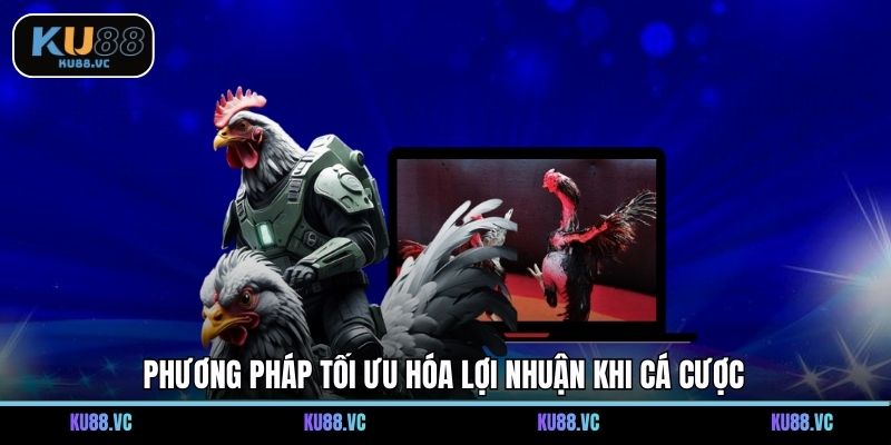Phương pháp tối ưu hóa lợi nhuận khi cá cược
