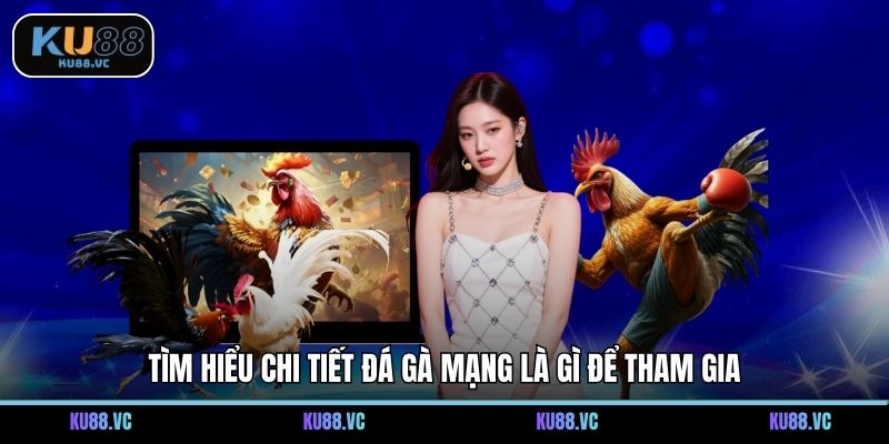 Tìm hiểu chi tiết đá gà mạng là gì để tham gia