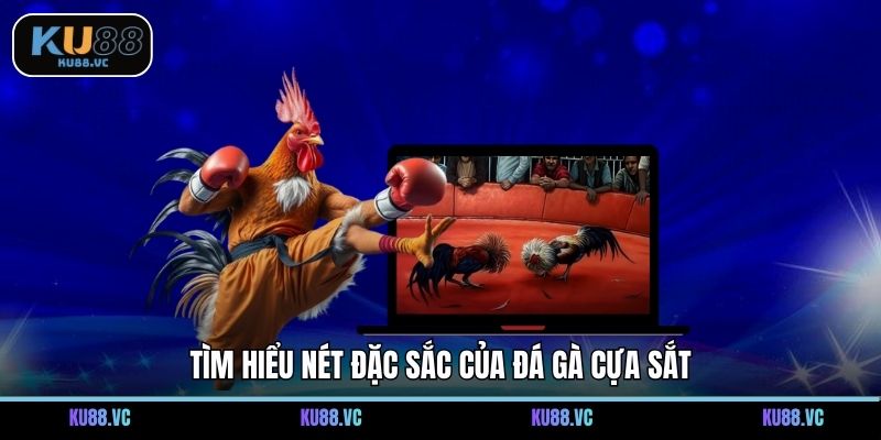 Tìm hiểu nét đặc sắc của đá gà cựa sắt